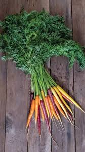 Glow Stix Moonrise Mix – Carrot Seed