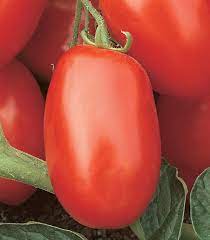 Tomato Viva Italia Vegetable Seeds for Planting - Heirloom and Non-GMO Garden Seeds