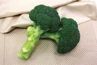 Green Magic – Broccoli Seed