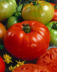 Brandywine – Organic Tomato Seed