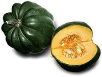 Table King Bush Acorn Squash Seeds for Planting - heirloom & Non-GMO Garden Seeds