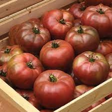 Marnero – Tomato Seed