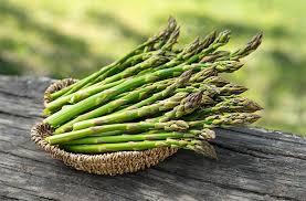 Jersey Supreme – Asparagus Seed