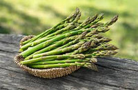 Jersey Supreme – Asparagus Seed
