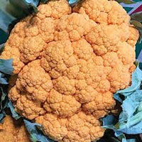 Clementine – Orange Cauliflower Seeds