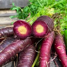 Carrot- Cosmic Purple