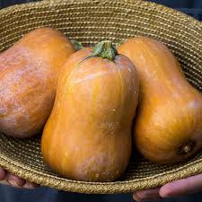 Honeynut – Organic Butternut Squash Seed