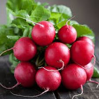 Sora – Organic Radish Seed