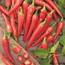 Red Flame – Organic Cayenne Pepper Seeds