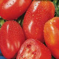 San Marzano Italian Plum Tomato Seeds for Planting - Heirloom & Non-GMO Garden Seeds