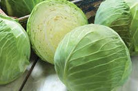 Promise – Cabbage Seed