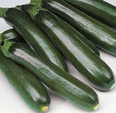 Desert – Organic Zucchini Squash Seed