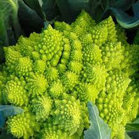 Broccoli Romanesco Vegetable Seeds