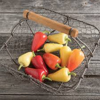 Havasu Pepper Seed (Santa Fe Pepper Seed)