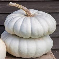 Flat Stacker – Pumpkin Seed
