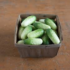 Quirk – Cucumber Seed