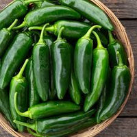 Jalafuego – Organic Jalapeno Pepper Seed