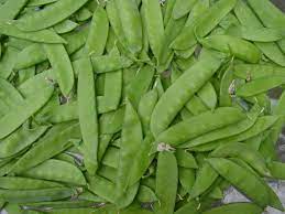 Sugar Snap – Pea Seed