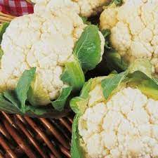 Cauliflower- Snowball