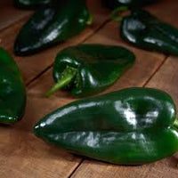 Sargento – Poblano Pepper Seed