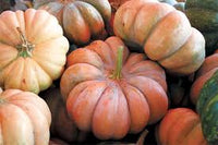 Pumpkin- Musquee de Provence 25g