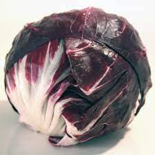 Leonardo – Radicchio Seed