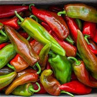 Spitfire – Anaheim Pepper Seed