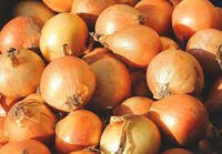 Onion- Gladalan Brown