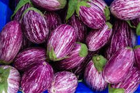 Fairy Tale – Eggplant Seed