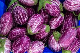 Fairy Tale – Eggplant Seed