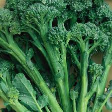 De Cicco – Organic Sprouting Broccoli Seeds