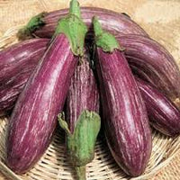 Eggplant- Tsakoniki