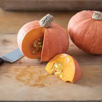 Marmalade – Organic Kabocha Squash Seed