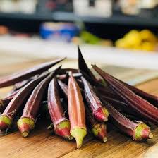 Carmine Splendor – Okra Seed