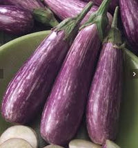 Fairy Tale – Eggplant Seed