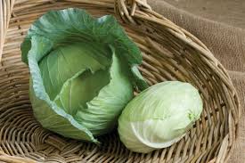 Capture – Organic Cabbage Seed