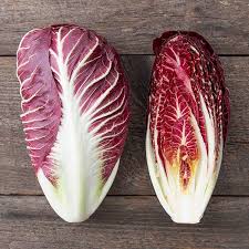 Fiero – Radicchio Seed