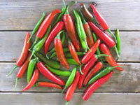 Chilli- Serrano
