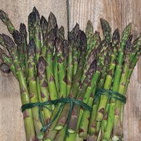 Jersey Supreme – Asparagus Seed