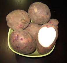 Purple Viking – Organic Seed Potatoes