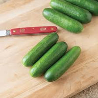 Qwerty – Cucumber Seed