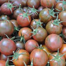 Purple Bumble Bee – Organic Tomato Seed