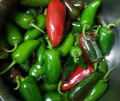 Early Jalapeno – Organic Jalapeno Seed