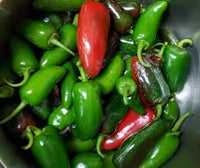 Early Jalapeno – Organic Jalapeno Seed