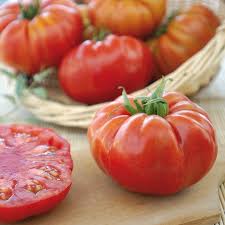 Marbonne – Tomato Seed