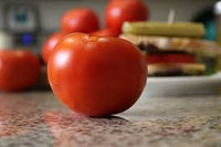 Celebrity Plus – Tomato Seed