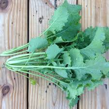 Siberian – Kale Seed