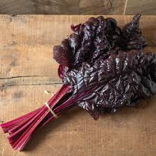 Heart of Gold – Organic Swiss Chard Seed