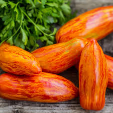 Speckled Roman – Organic Tomato Seed