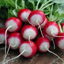 Radish Half Red Imported Vegetable Seeds